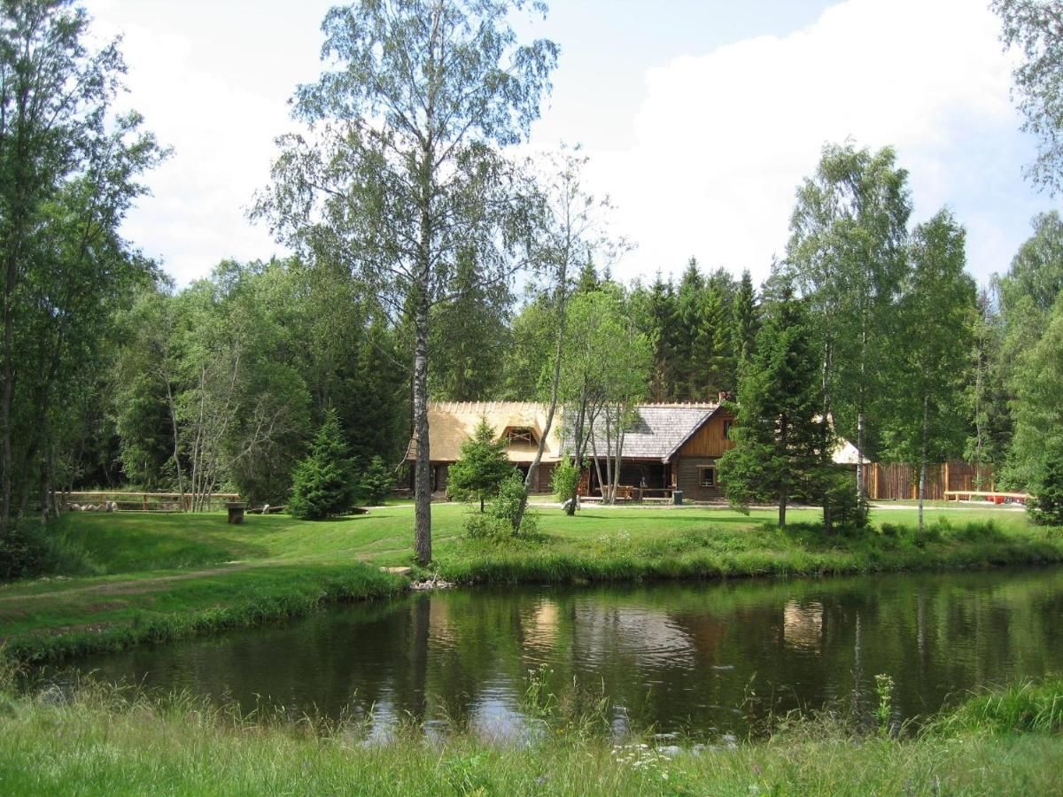 Гостевой дом Viikingite küla Saula-15