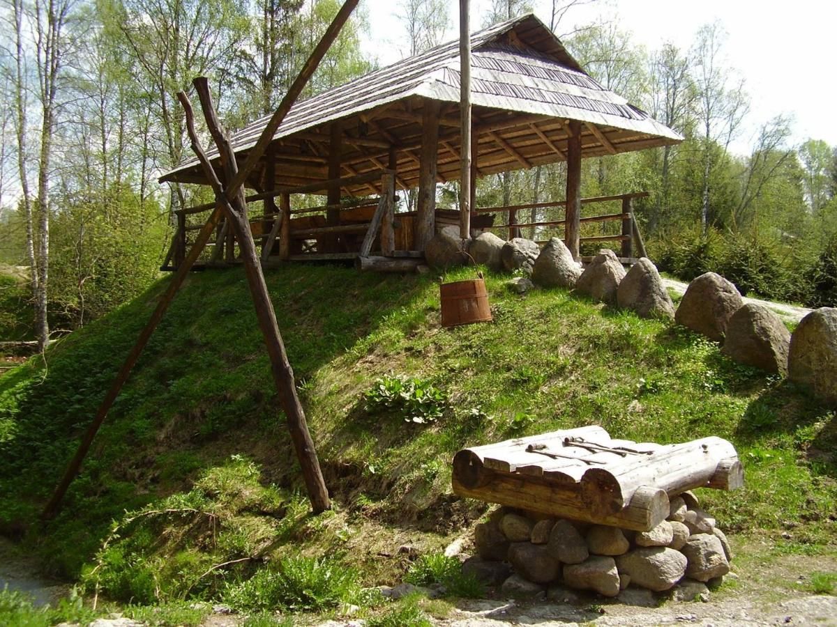 Гостевой дом Viikingite küla Saula-19